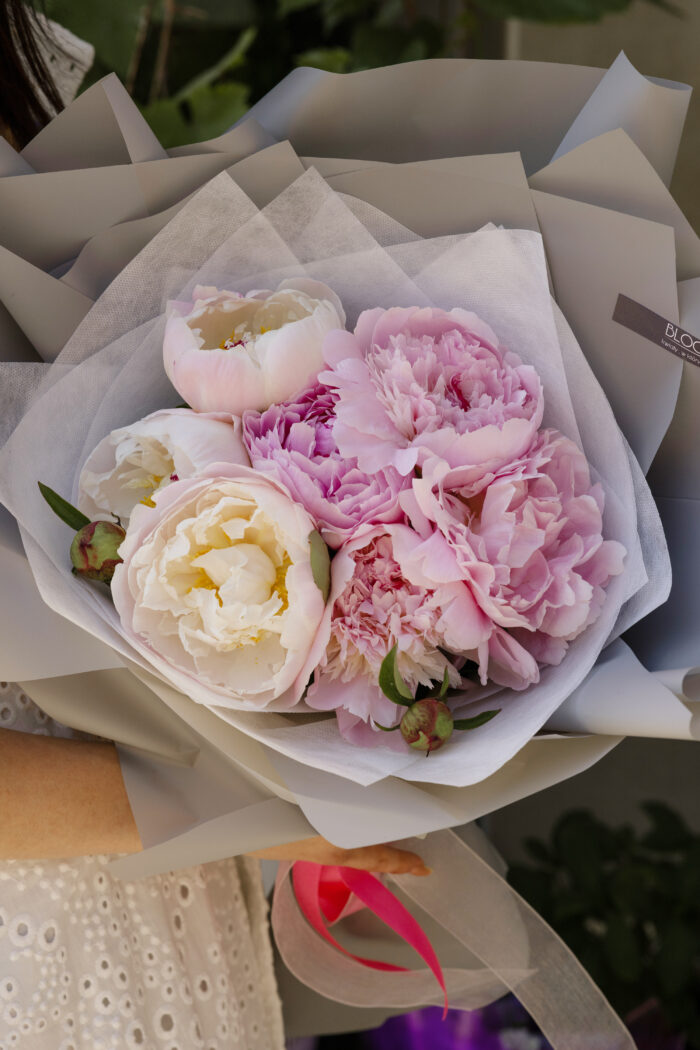 PEONY CLOUD